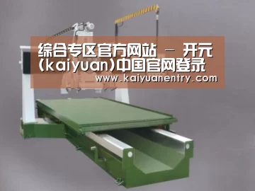 产品名称十