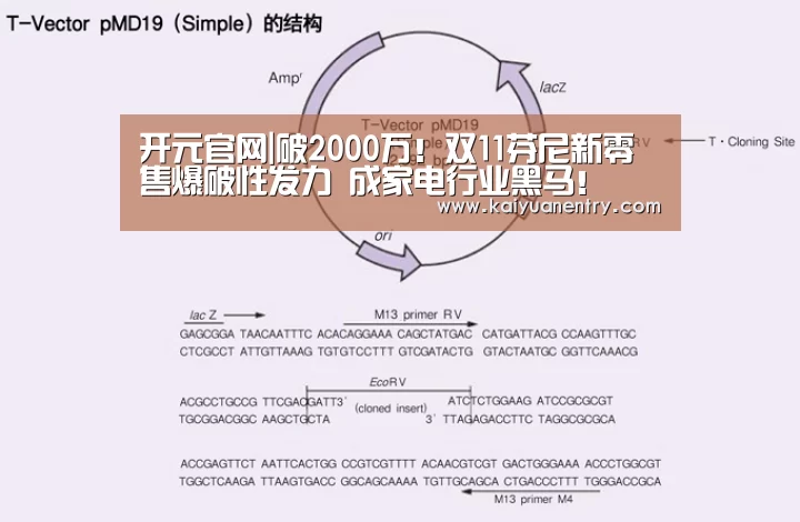 开元官网|破2000万!双11芬尼新零售爆破性发力 成家电行业黑马!(图4) 开元比分