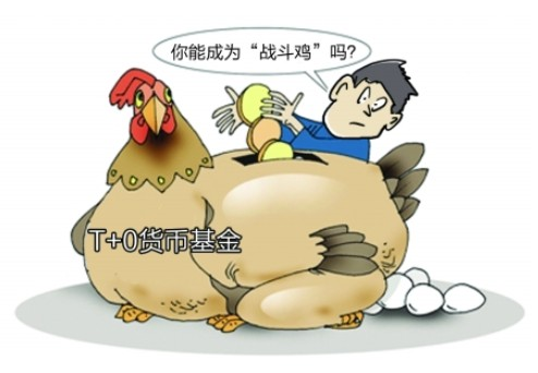 开元体育